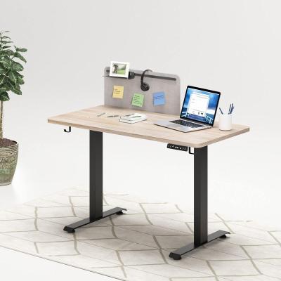 China Adjustable(Height)Sit and Adjustable Single Motor Laptop Height Table Study Computer Desk Electric Standing Computer Desk Standing View for sale