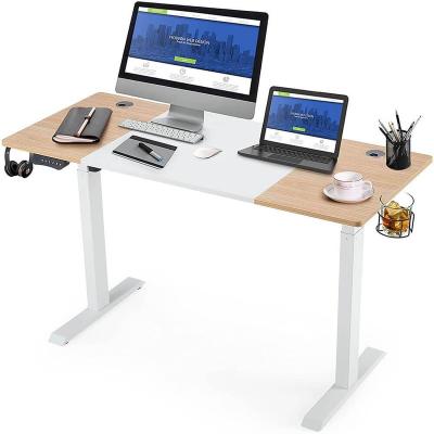 China Double Motor Computer Motor Adjustable Height (Height) Adjustable Standing Table Modern Wooden Bamboo Desk Single View Home Office for sale