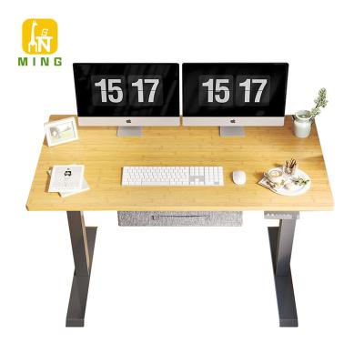 China Factory Directly Double Motor Electric Ergonomic Wooden Electric Adjustable Height Adjustable Computer Desk (Height) Desk for sale