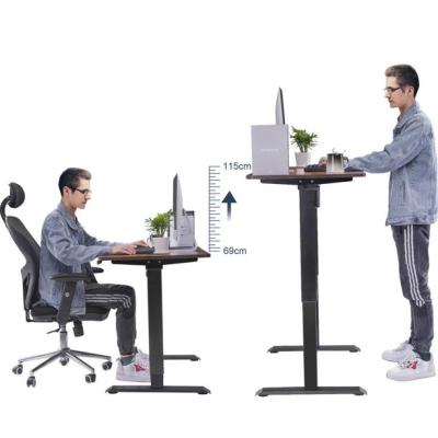 China Ergonomic Height Adjustable Standing Desk Dual Height Electric Motor (Height) Stand Home Office Sit Stand Desk for sale