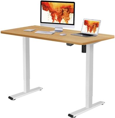 China Adjustable (Height) Stand Up Desk Double Height Adjustable Motor Intelligent Electric Lift Desk Computer Sit To Table Home Office Desk for sale