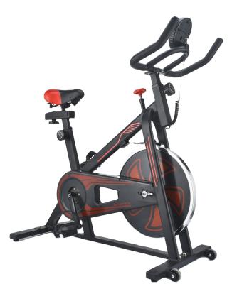 China Eilison Body Home Use Training Machine Silent Stationary Professional Magnetic Bicycle Spinning Bike for sale