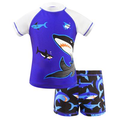 China Tropical Print Rash Guard Swimsuit Set Breathable Kids Swimwear Boys for sale