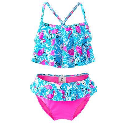 China Beach Guaranteed Suitable Factory Sale Quality Price Widely Used Flamingo Swimwear Two Pieces for sale