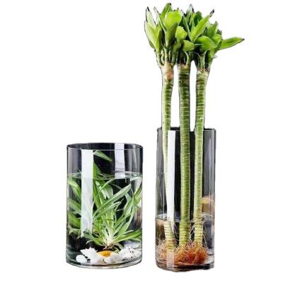 China Cylinder Minimalist Transparent Hydroponic Decoration Glass Flower Vase For Home Decoration for sale