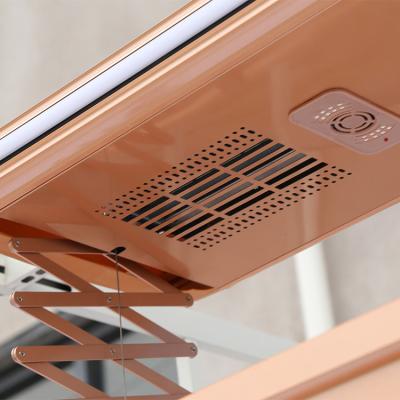 China Sustainable Intelligent Automatic Electric Ceiling Mounted Tube Clothes Bending Machine Laundry Drying Rack for sale