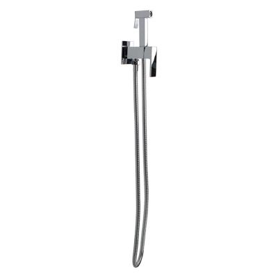 China Without Slide Bar 304 Stainless Steel Shower Bidet Toilet Set Spray Shower for sale