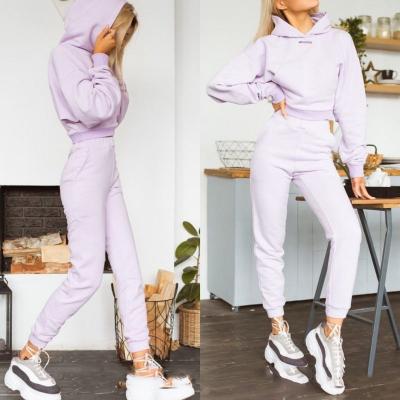 China Dropshipping Breathable 2022 Newest Two Piece Women Crop Top Hoodies Sportswear Suits Thicken Warm Ladies Sets for sale