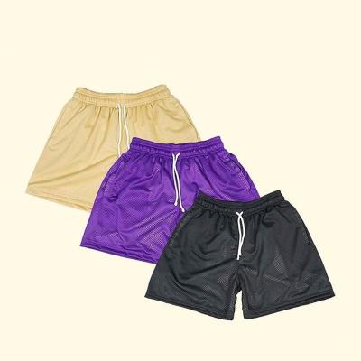 China New Custom Logo Color Double Layer Mesh Anti-Wrinkle Gym Shorts Scratch Summer Sublimation All Over Custom Empty Short Men Mesh Print Shorts for sale