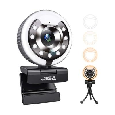 China 1080p Usb Webcam Laptop Meeting Computer Laptop PC Meeting Computer Usb Webcam With Ring Light for sale