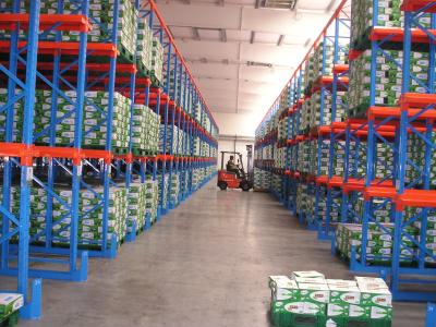 China Customized Warehouse Drive In Drive Through Racking System For Cold Storage for sale