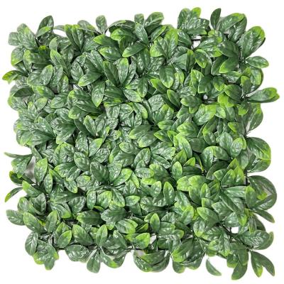 China Hotsales Plants Eco-friendly Activity 50*50cm Bayberry Leaf Grass Artificial Wall For Home Garden Landscape Wedding Wall Decor for sale