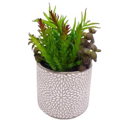 China Plants Home Office Eco - Friendly Artificial Succulent Decoration Matched Faux Succulents With Planter Pots GREEN for sale