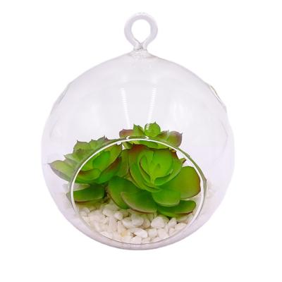 China Eco-Friendly Hanging Artificial Glass Plants Assorted Natural Succulents Succulents With Clear Glass Planter Pots Hanging Decor for sale