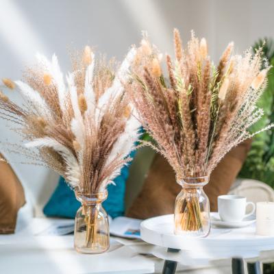 China Natural Touch Artificial Pampas Grass Wedding Handmade Dry Pampas Grass 60cm Artificial Home Decoration Flower for sale