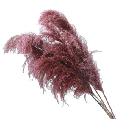 China Natural Floral Arrangements In Touch Wedding Home Decor Artificial Pampas Grass Colorful Artificial Pampas Grass 1.5m Tall for sale