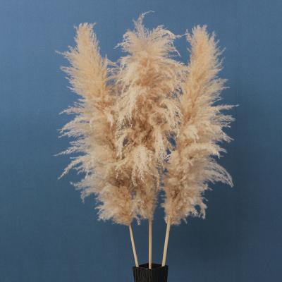 China Natural Touch Pampas Grass Flower Pampas Grass White Gray Artificial Dry Grass Large Artificial Pampas For Wedding Home Windows Decoration for sale