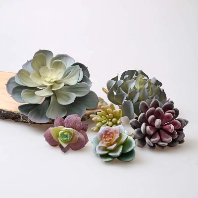 China Eco-friendly Artificial Succulent Realistic Textured Plant Artificial Succulents For DIY Faux Cacti Home Decor for sale