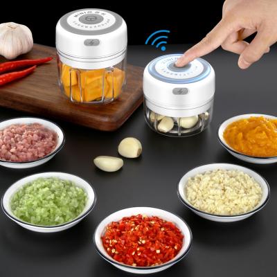 China Small Mini Garlic Chopper Kitchen Accessories Radio Viable Electric Garlic Crusher For Cutter Pepper Vegetable Chili Meat for sale