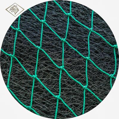 China Multifilament Multifilament Fishing Net, Polyethylene Fishing Net for sale