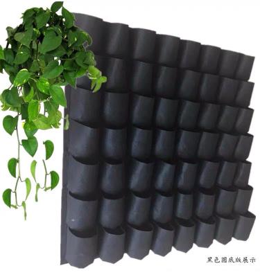 China 1-400 Gallon Eco-Friendly Black PE Plant Nursery Plastic Bags For Tree Seedlings Transplanting for sale