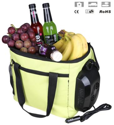 China High Quality Cheap Portable Electric Food Cooler Bag for sale