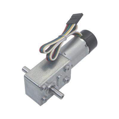 China Faradyi Custom 24v Dc Motor High Torque DC Brushed Motor Worm Gear Motor For Automatic Application en venta