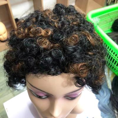 China Custom Logo Wig Cheap Brazilian Cambodian Hair Pixie Human Wig Afro Kinky Curl Libertine Wig for sale