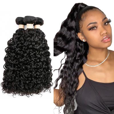 China 8-30inch Water Wave Curly Curly Hair Bundles Grade 10A Bundles Brazilian Black Curly Hair Bouncy Extension for sale