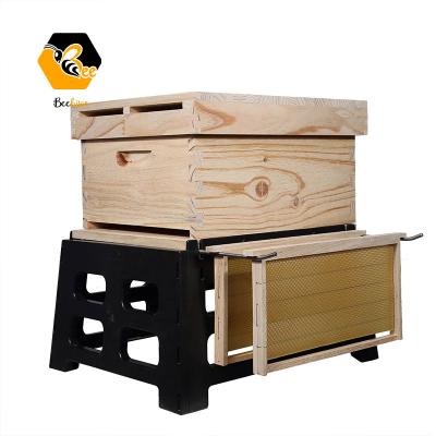 China Plastic Bee Farm Anti-Ant Hive Stand 10 Views Beekeeping Hive Stand With Hive Support Hive Stand Bracket for sale