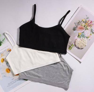 China Development Thermal Girls' Bra Preteen Knitted Young Teenager Solid Bra Little Kids Cotton Wire-Free Exercising Underwear for sale