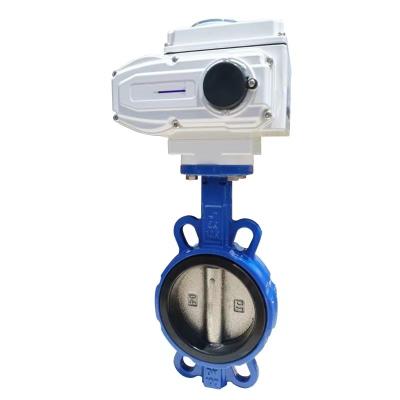 China General Chinese Suppliers Electric Pinch Ball Iron Butterfly Valve for sale