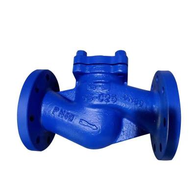 China General German Standard Lifting Check Valve DIN GS-C25 WCB Check Valves Steam Oil for sale