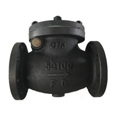 China General Hot Sale JIS Cast Iron Swing Type Check Valve Marine Use FC 5K 100A for sale