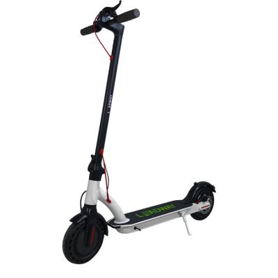 China Clear original factory price led electric scooter which fold outdoor sports foldable electric scooter for sale