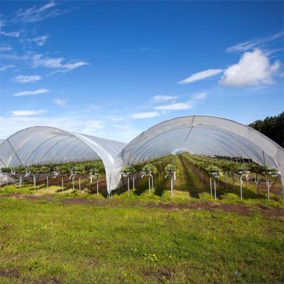 China High Rain Tunnel Shelter China Strawberry Greenhouses easily assembled hidroponic greenhouse for sale