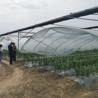 China High Rain Tunnel Shelter Greenhouse Easily Assembled Plastic Rain Cover For Shelter Pepper Greenhouse for sale