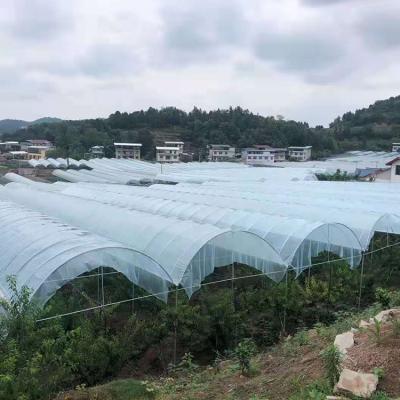 China Easily Assembled High Tunnel Multi-span Film Greenhouse Rain Shelter Tropical Greenhouse For Grape for sale