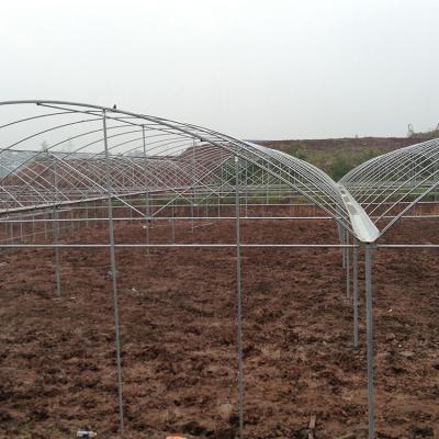 China Multispan Low Cost Greenhouses Plastic Sheet Rain Shelter Easily Assembled Agricultural Greenhouse for sale