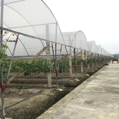 China Easily Assembled High Tunel Rain Shelter Greenhouse Plastic Greenhouses For Sale for sale