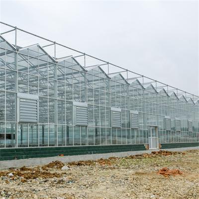 China 100/150/Stable Easily Structure Agricultural Assembled200 Micron PE Film Hydroponics Glass Green House Greenhouse For Tomato Breeding for sale