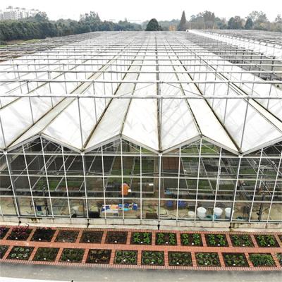 China 100/150/Stable Easily Structure Assembled200 Micron PE Film Venlo Roof Type Glass Greenhouse Multi-span Agricultural Greenhouse For Vegetables for sale