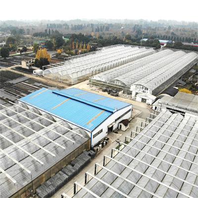 China 100/150/Stable Structure Easily Assembled200 Micron PE Film Turnkey Projects Installed Commercial Hydroponic venlo greenhouse greenhouse multispan glass for sale