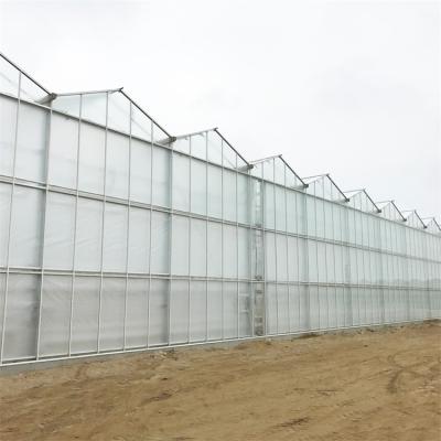 China 100/150/Stable Easily Structure Cheap Assembled200 Micron PE Film Agriculture Multispan Greenhouse Glass Venlo Greenhouse For Cultivation for sale