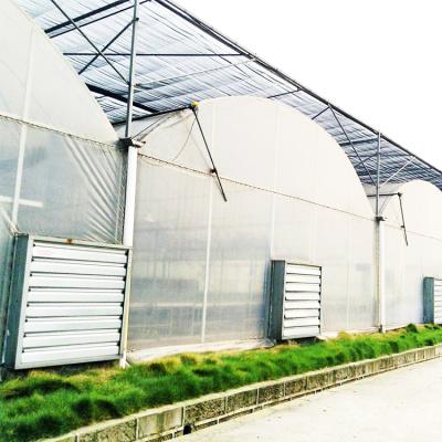 China Multi Span Film Multi Span Sustainable Industrial Hydroponic Greenhouse High Poly Tunnel Easily Assembled Greenhouse for sale