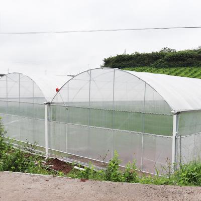 China Easily Assembled Hot Dip Galvanized Green House Polytunnel Multi Span Greenhouse Steel Vegetable Planting Multispan Construction for sale