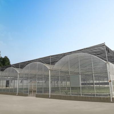 China Easily Assembled Turnkey Projects Set Up Green House Commercial Hydroponic Multi-span Plastic Sheet Agricultural Greenhouses for sale