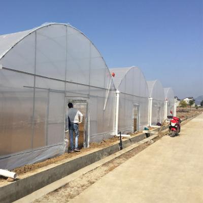 China Large Poly Easily Assembled Commercial Type Agriculture Plastic Sheet Film Arch Tunnel Vegetable Cheap Greenhouses for sale