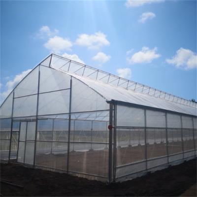 China Vegetables tunnel sawtooth roof sawtooth agricultural hydroponic growing top greenhouse for vegetables for sale