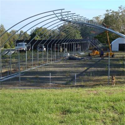 China Natural Ventilation Tropical Insect Net Vegetable Area System Tunnel Sawtooth Hydroponic Greenhouse For Planting Vegetables for sale